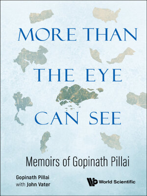cover image of More Than the Eye Can See